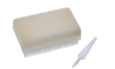 ভালো দাম চিকিৎসা ব্যবহারের জন্য হ্যান্ড স্ক্রাব ব্রাশ – আর্গোনমিকালি ডিজাইন করা, দীর্ঘস্থায়ী, স্বাস্থ্যসেবা পরিবেশের জন্য অ্যান্টি-ব্যাকটেরিয়াল ব্রিস্টল অনলাইন